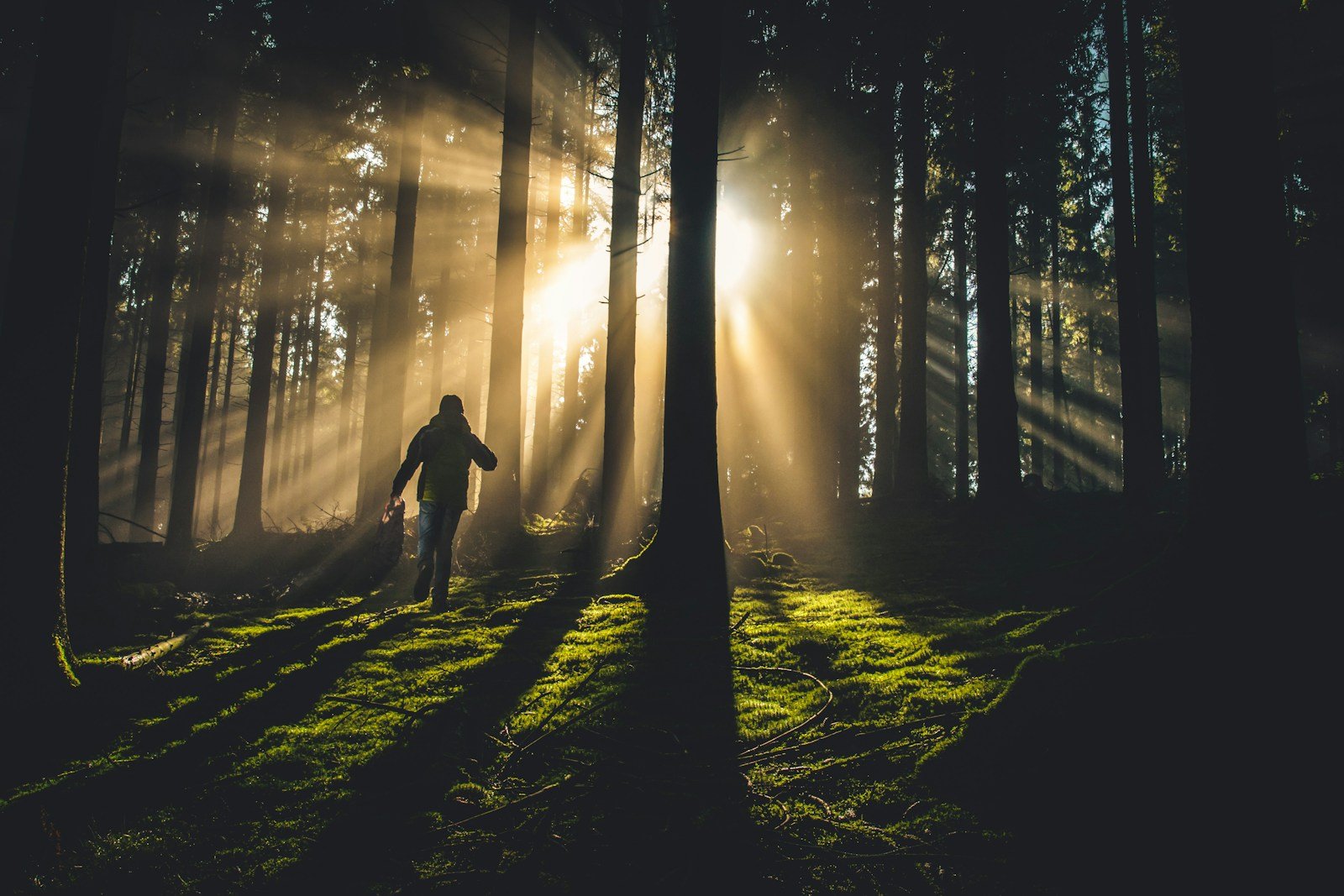 Healing Powers of Nature: Exploring the Therapeutic Benefits of Nature Escapes